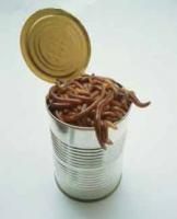 Can Of Worms